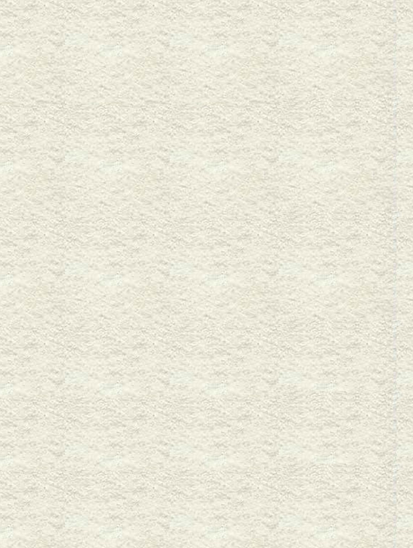 Secret Carpet Roll - Image 3